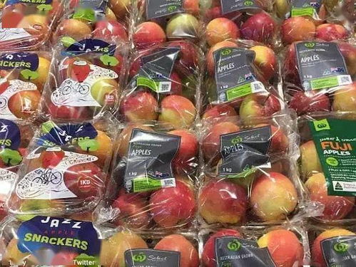 Aldi澳洲全面停售二手日用百貨，推動可持續發展與消費升級